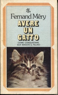 avere un gatto